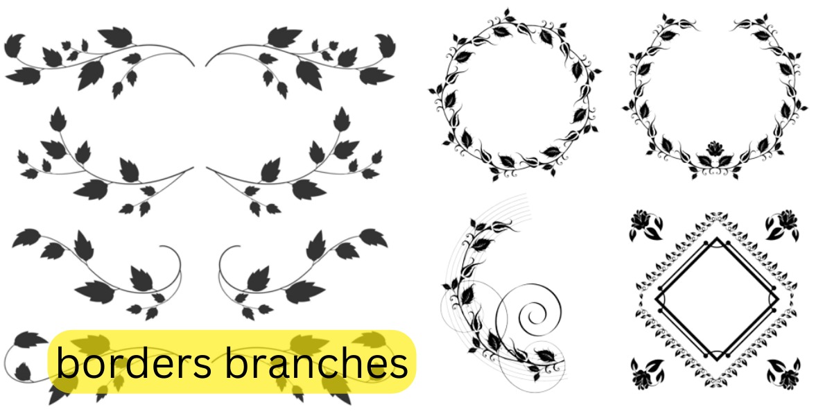 borders branches