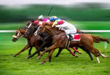 online horse betting sites