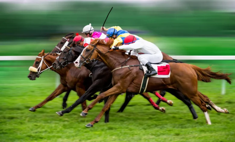 online horse betting sites